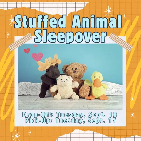 Stuffed Animal Sleepover