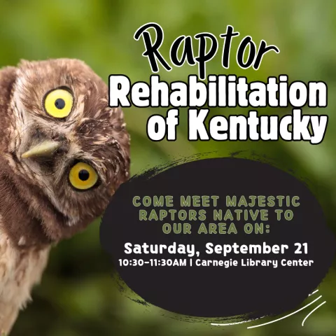 Raptor Rehabilitation of Kentucky