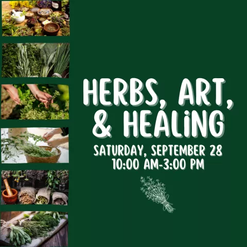 Herbs. Art &amp; Healing 