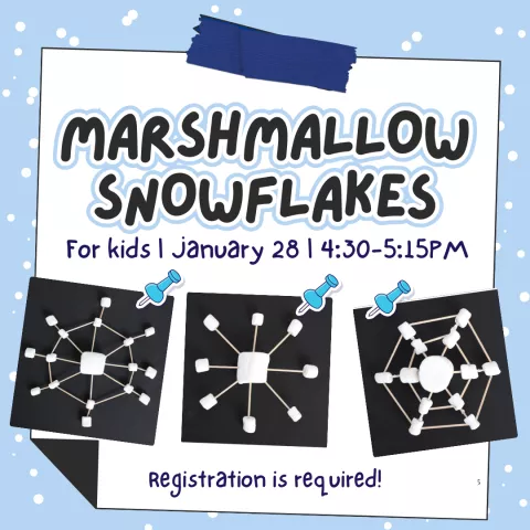 Build Your Own Marshmallow Snowflakes