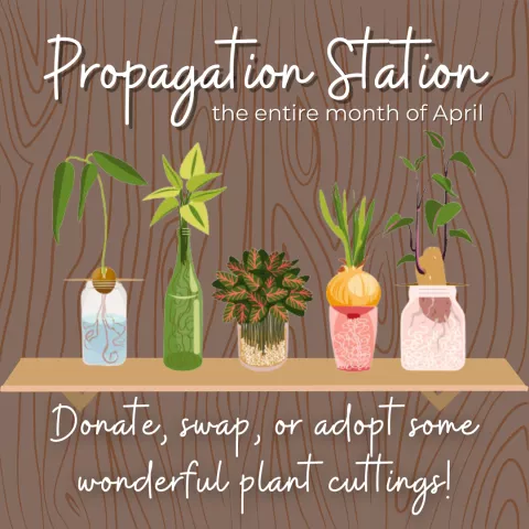 Propagation Station