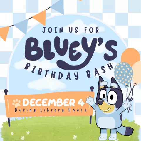 Bluey's Birthday Bash