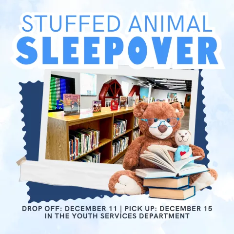 Stuffed Animal Sleepover