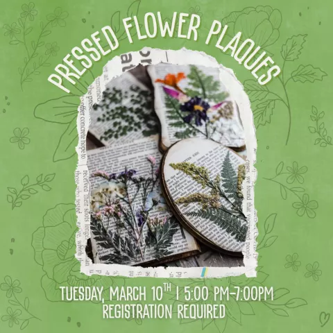 Pressed Flower Plaques