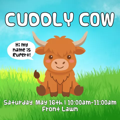 Cuddly Cow