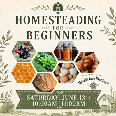 Homesteading for Beginners with Moonlight Farms Homestead