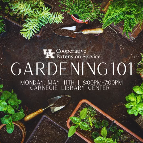 Gardening 101