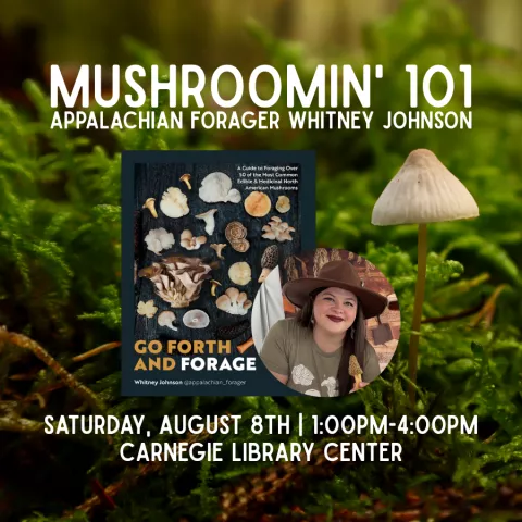Mushroomin' 101