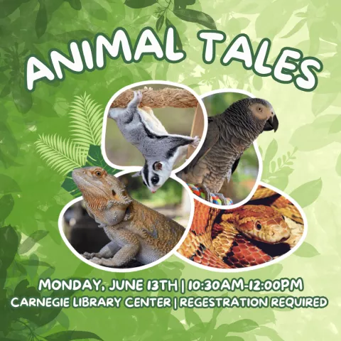 Animal Tales